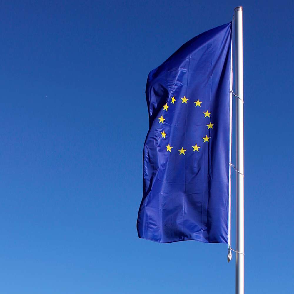 Fahnenmast Für Innenbereich – 200-252 Cm Höhenverstellbar, Drehbar 360°, Inkl. Frankreich-Flagge 90x150 Cm